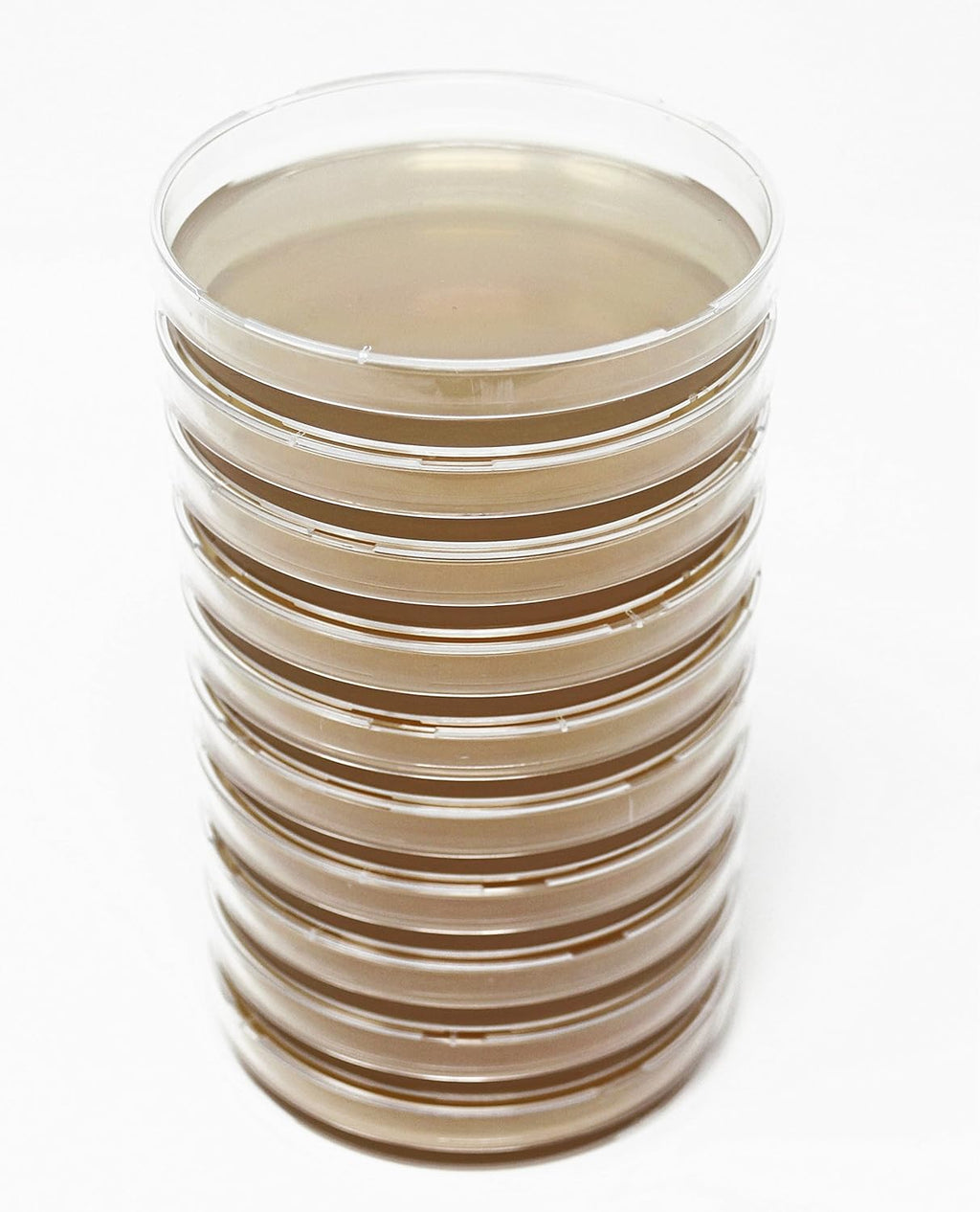 Malt Extract Agar (MEA) Plates for Mushroom Cultivation (10 Prepoured Agar Plates)