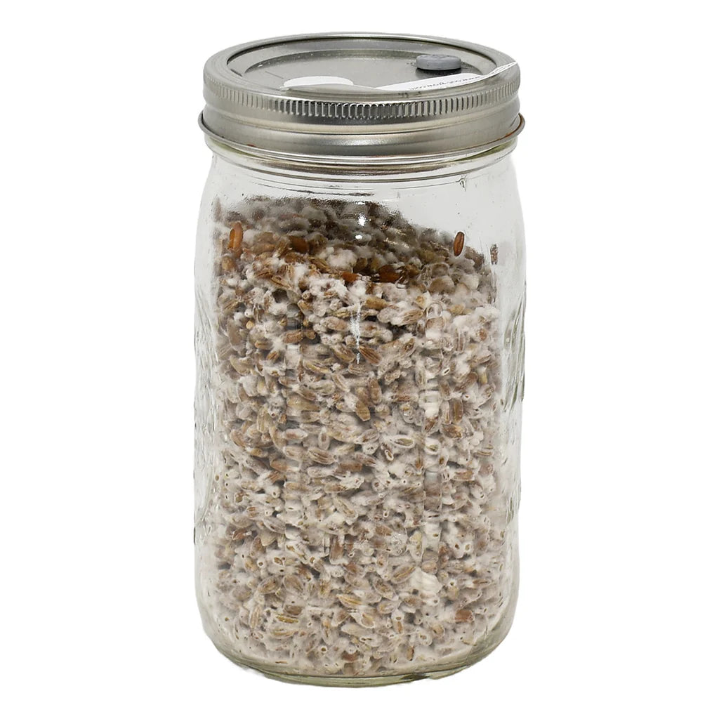 Grain jar